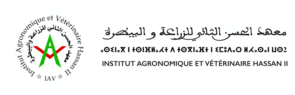 IAV Hassan II